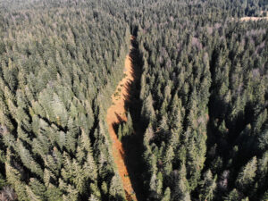 Đildino tresetište